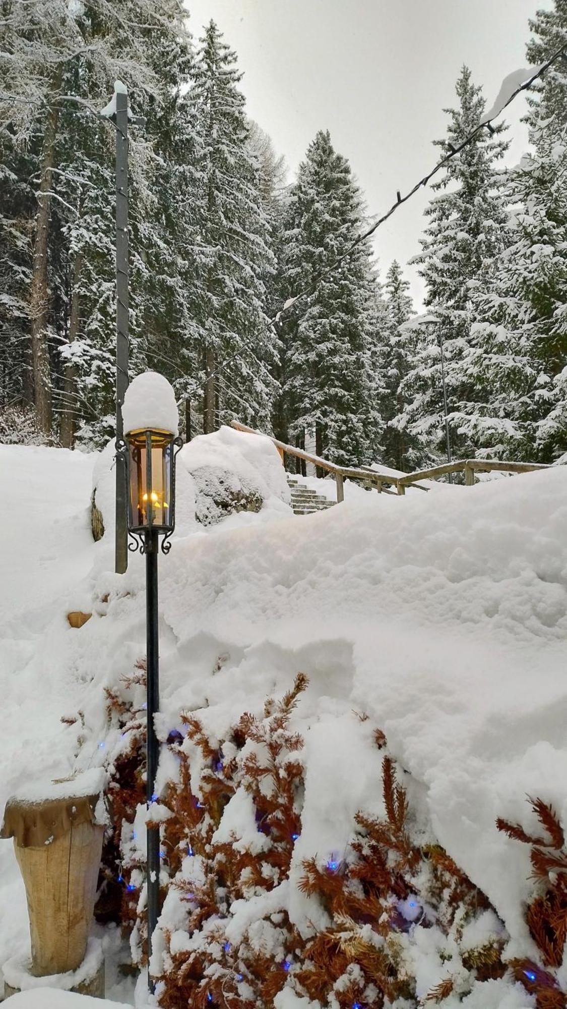 Ale 1206, Marilleva 1400 Accesso Diretto Alle Piste Luaran gambar